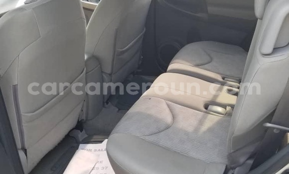 Buy Import Toyota RAV4 Silver Car in Douala in Littoral Cameroon Buy Import Toyota RAV4 Silver Car in Douala in Littoral Cameroon