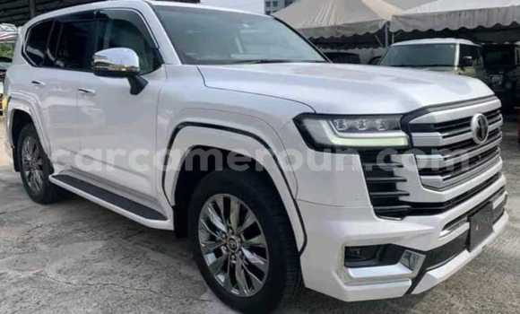 Buy Used Toyota Land Cruiser White Car in Yaounde in Central Cameroon Buy Used Toyota Land Cruiser White Car in Yaounde in Central Cameroon