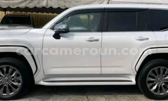 Buy Used Toyota Land Cruiser White Car in Yaounde in Central Cameroon Buy Used Toyota Land Cruiser White Car in Yaounde in Central Cameroon
