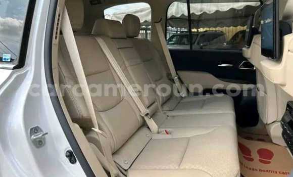 Buy Used Toyota Land Cruiser White Car in Yaounde in Central Cameroon Buy Used Toyota Land Cruiser White Car in Yaounde in Central Cameroon