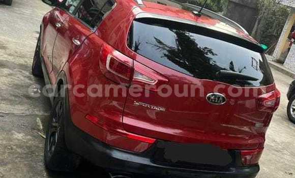 Buy Used Kia Sportage Red Car in Yaounde in Central Cameroon Buy Used Kia Sportage Red Car in Yaounde in Central Cameroon
