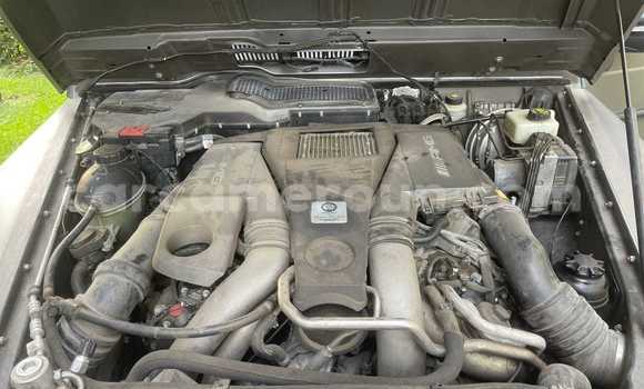 Sayi Na hannu AMC Hornet Sauran Mota in Yaounde a Babban Kamaru Sayi Na hannu AMC Hornet Sauran Mota in Yaounde a Babban Kamaru