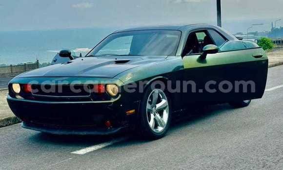Sayi Na hannu Dodge Challenger Sauran Mota in Yaounde a Babban Kamaru