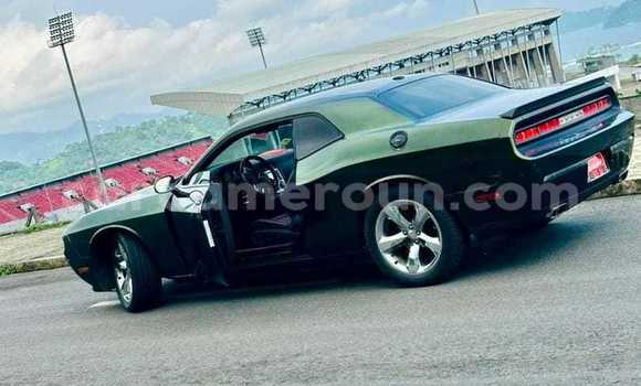 Sayi Na hannu Dodge Challenger Sauran Mota in Yaounde a Babban Kamaru Sayi Na hannu Dodge Challenger Sauran Mota in Yaounde a Babban Kamaru