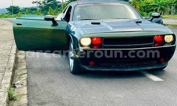 Sayi Na hannu Dodge Challenger Sauran Mota in Yaounde a Babban Kamaru Sayi Na hannu Dodge Challenger Sauran Mota in Yaounde a Babban Kamaru