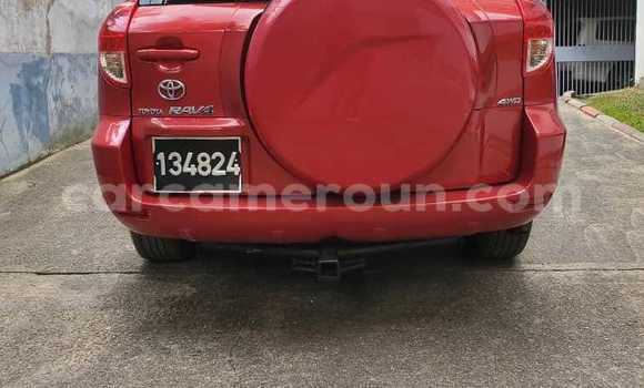 Buy Used Toyota RAV4 Red Car in Yaounde in Central Cameroon Buy Used Toyota RAV4 Red Car in Yaounde in Central Cameroon