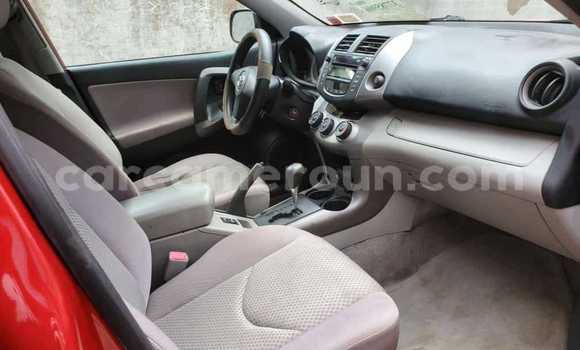 Buy Used Toyota RAV4 Red Car in Yaounde in Central Cameroon Buy Used Toyota RAV4 Red Car in Yaounde in Central Cameroon
