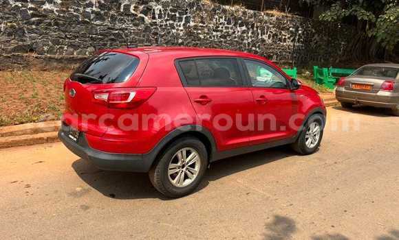 Cars for sale in cameroun - carcameroun