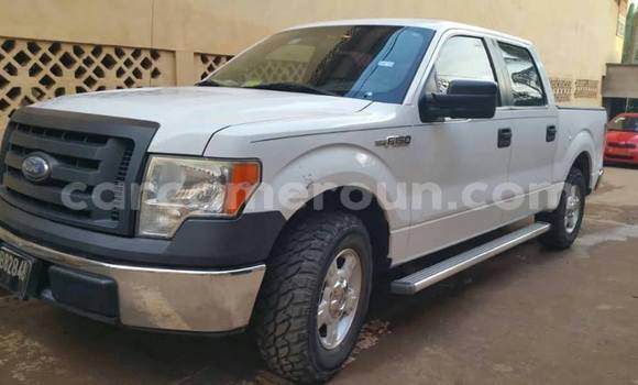Sayi Na hannu Ford F–150 White Mota in Yaounde a Babban Kamaru