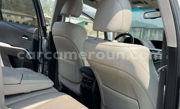 Sayi Na hannu Lexus RX Sauran Mota in Yaounde a Babban Kamaru Sayi Na hannu Lexus RX Sauran Mota in Yaounde a Babban Kamaru