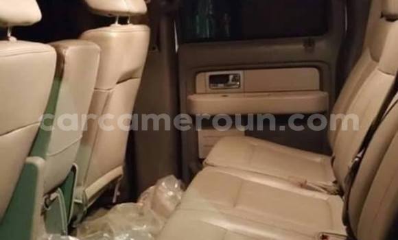 Acheter Occasion Voiture Ford F–150 Blanc à Yaoundé, Central Cameroon Acheter Occasion Voiture Ford F–150 Blanc à Yaoundé, Central Cameroon