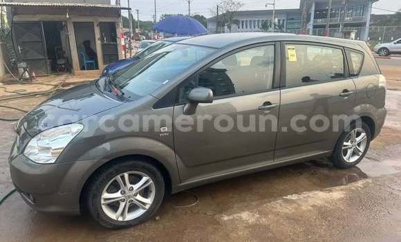 Buy Used Toyota Corolla Other Car in Yaounde in Central Cameroon Buy Used Toyota Corolla Other Car in Yaounde in Central Cameroon