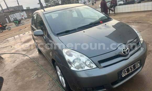 Buy Used Toyota Corolla Other Car in Yaounde in Central Cameroon Buy Used Toyota Corolla Other Car in Yaounde in Central Cameroon