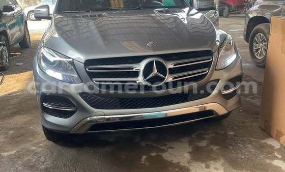 Buy Used Mercedes‒Benz GLE Other Car in Yaounde in Central Cameroon Buy Used Mercedes‒Benz GLE Other Car in Yaounde in Central Cameroon