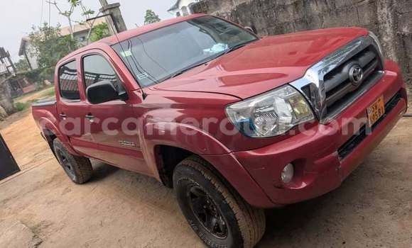 Acheter Occasion Voiture Toyota Tacoma Rouge à Douala, Littoral Cameroon Acheter Occasion Voiture Toyota Tacoma Rouge à Douala, Littoral Cameroon