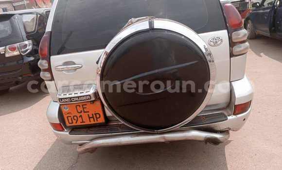 Acheter Occasion Voiture Toyota Prado Gris à Yaoundé, Central Cameroon Acheter Occasion Voiture Toyota Prado Gris à Yaoundé, Central Cameroon
