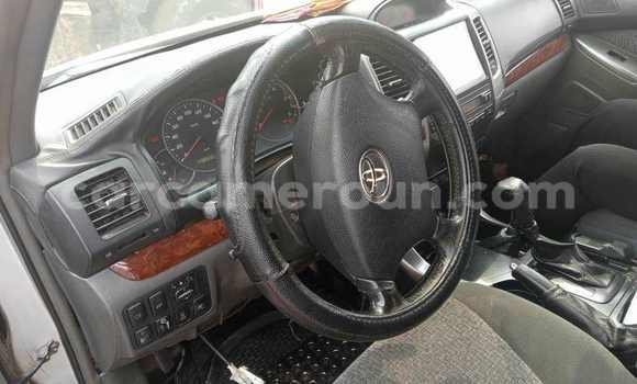 Acheter Occasion Voiture Toyota Prado Gris à Yaoundé, Central Cameroon Acheter Occasion Voiture Toyota Prado Gris à Yaoundé, Central Cameroon