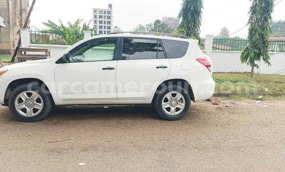 Sayi Na hannu Toyota RAV4 White Mota in Douala a Ƙasar Kamaru Sayi Na hannu Toyota RAV4 White Mota in Douala a Ƙasar Kamaru