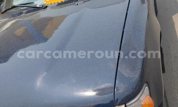 Buy Used Toyota Pickup Blue Car in Douala in Littoral Cameroon Buy Used Toyota Pickup Blue Car in Douala in Littoral Cameroon