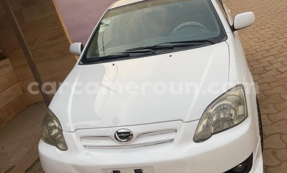 Buy Used Toyota Runx White Car in Yaounde in Central Cameroon Buy Used Toyota Runx White Car in Yaounde in Central Cameroon