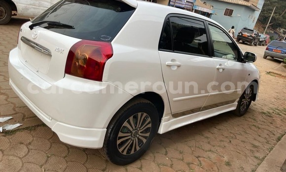 Buy Used Toyota Runx White Car in Yaounde in Central Cameroon Buy Used Toyota Runx White Car in Yaounde in Central Cameroon