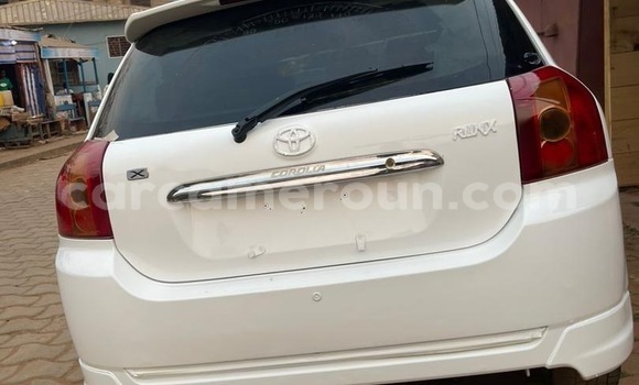 Buy Used Toyota Runx White Car in Yaounde in Central Cameroon Buy Used Toyota Runx White Car in Yaounde in Central Cameroon