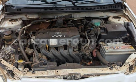 Buy Used Toyota Runx White Car in Yaounde in Central Cameroon Buy Used Toyota Runx White Car in Yaounde in Central Cameroon