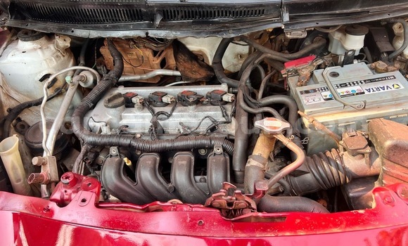 Buy Used Toyota Vitz Red Car in Yaounde in Central Cameroon Buy Used Toyota Vitz Red Car in Yaounde in Central Cameroon