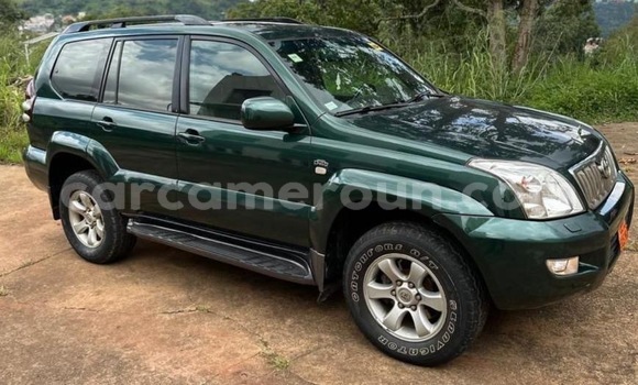 Sayi Na hannu Toyota Land Cruiser Prado Green Mota in Yaounde a Babban Kamaru
