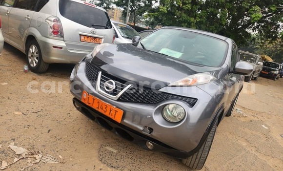 Buy Used Nissan Juke Silver Car in Douala in Littoral Cameroon