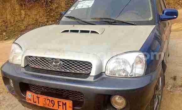 Sayi Na hannu Hyundai Santa Fe Blue Mota in Douala a Ƙasar Kamaru