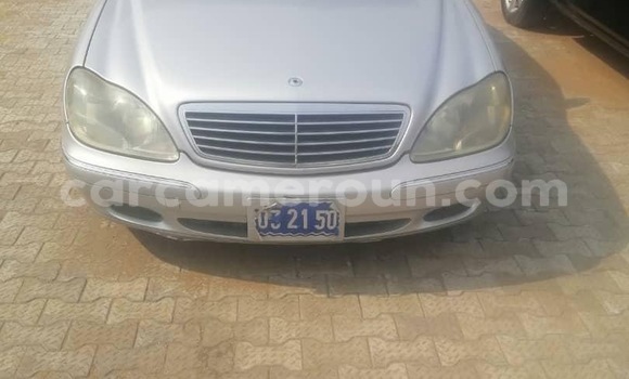 Acheter Import Voiture Mercedes‒Benz S–Class Gris à Douala, Littoral Cameroon