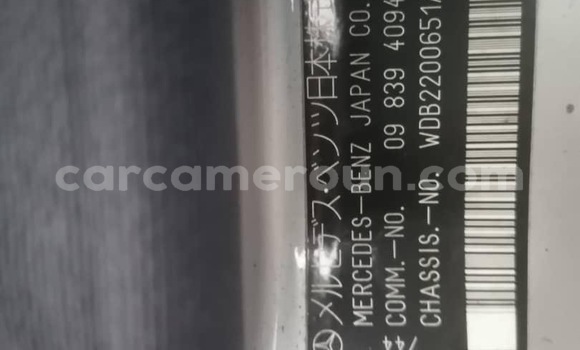 Buy Import Mercedes‒Benz S–Class Silver Car in Douala in Littoral Cameroon Buy Import Mercedes‒Benz S–Class Silver Car in Douala in Littoral Cameroon