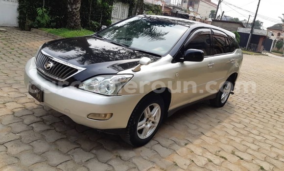 Sayi Na hannu Lexus RX 350 Azurfa Mota in Douala a Ƙasar Kamaru