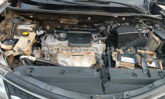 Buy Used Toyota RAV4 Brown Car in Douala in Littoral Cameroon Buy Used Toyota RAV4 Brown Car in Douala in Littoral Cameroon