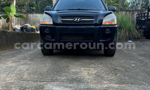 Buy Used Hyundai Tucson Black Car in Douala in Littoral Cameroon