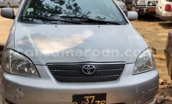 Acheter Occasion Voiture Toyota Corolla Gris à Douala, Littoral Cameroon