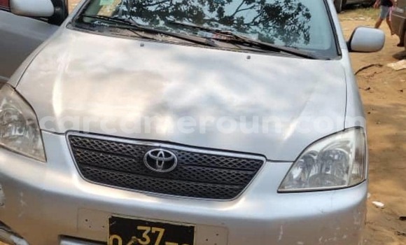 Sayi Na hannu Toyota Corolla Azurfa Mota in Douala a Ƙasar Kamaru Sayi Na hannu Toyota Corolla Azurfa Mota in Douala a Ƙasar Kamaru