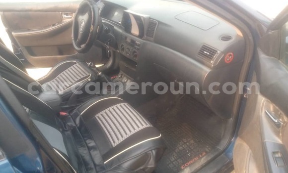 Sayi Na hannu Toyota Corolla Blue Mota in Douala a Ƙasar Kamaru Sayi Na hannu Toyota Corolla Blue Mota in Douala a Ƙasar Kamaru