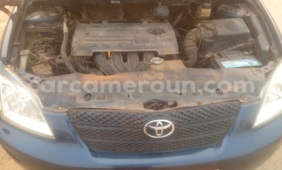 Sayi Na hannu Toyota Corolla Blue Mota in Douala a Ƙasar Kamaru Sayi Na hannu Toyota Corolla Blue Mota in Douala a Ƙasar Kamaru