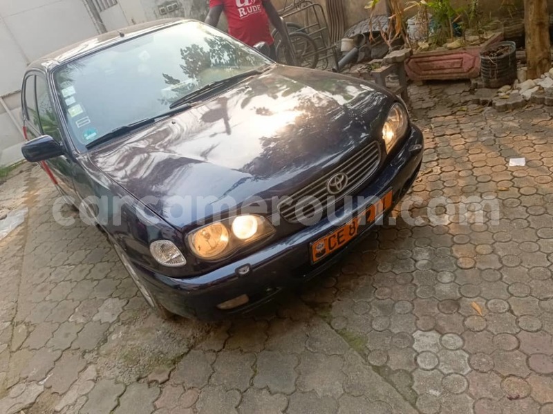 Big with watermark toyota corolla littoral cameroon douala 18652