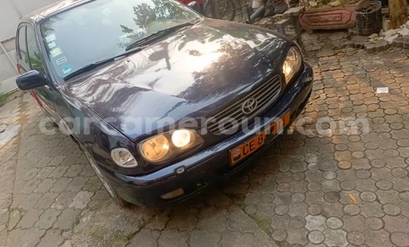 Acheter Occasion Voiture Toyota Corolla Bleu à Douala, Littoral Cameroon