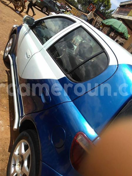 Big with watermark 43952242 157845575157962 4335428086951575552 o