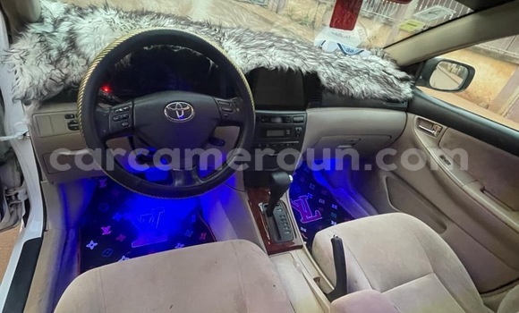 Buy Used Toyota Runx White Car in Yaounde in Central Cameroon Buy Used Toyota Runx White Car in Yaounde in Central Cameroon