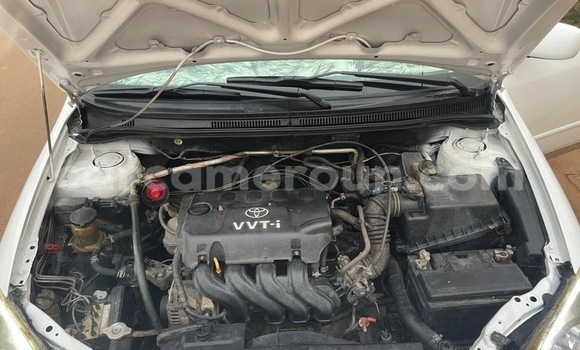 Buy Used Toyota Runx White Car in Yaounde in Central Cameroon Buy Used Toyota Runx White Car in Yaounde in Central Cameroon