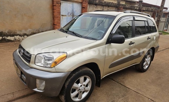 Acheter Occasion Voiture Toyota RAV4 Gris à Yaoundé, Central Cameroon