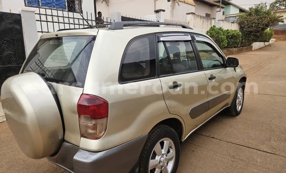 Buy Used Toyota RAV4 Silver Car in Yaounde in Central Cameroon Buy Used Toyota RAV4 Silver Car in Yaounde in Central Cameroon