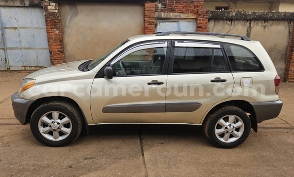 Buy Used Toyota RAV4 Silver Car in Yaounde in Central Cameroon Buy Used Toyota RAV4 Silver Car in Yaounde in Central Cameroon