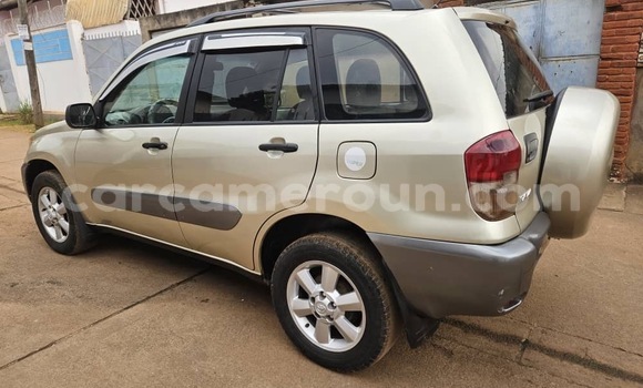 Buy Used Toyota RAV4 Silver Car in Yaounde in Central Cameroon Buy Used Toyota RAV4 Silver Car in Yaounde in Central Cameroon