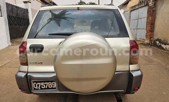 Buy Used Toyota RAV4 Silver Car in Yaounde in Central Cameroon Buy Used Toyota RAV4 Silver Car in Yaounde in Central Cameroon